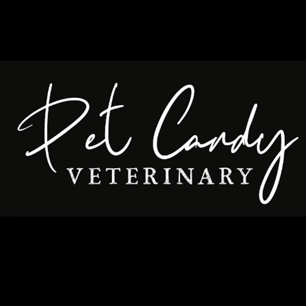 Avon Veterinary Clinic Pet Candy