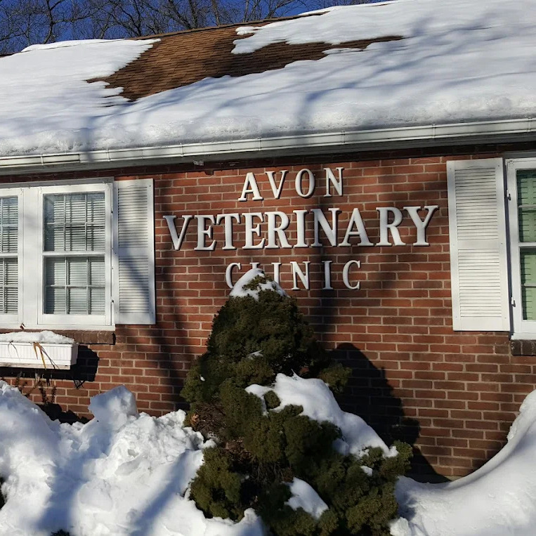Avon Veterinary Clinic