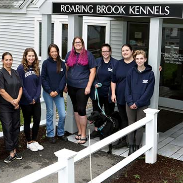 Roaring Brook Veterinary Hospital